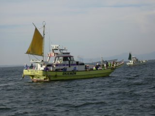 ���E�G���