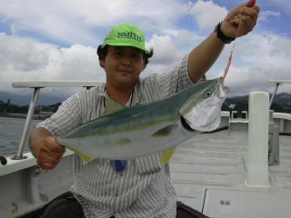 �����T��