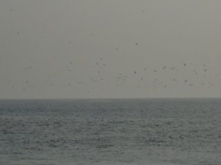 �g������