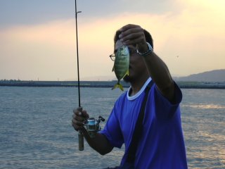 ���b�L�Ǝ���