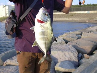 �f�J���b�L