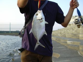 �i�C�X�T�C�Y���E�j�����b�L