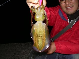 �A�I���C�J