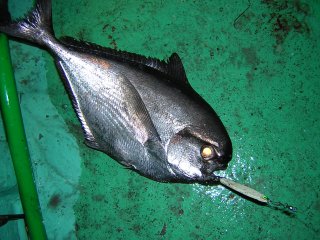 �V�}�K�c�I