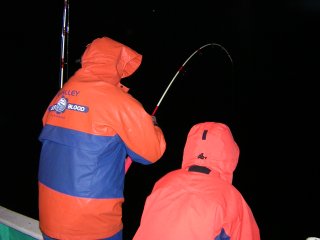 �Z�C�S�J�b�v��