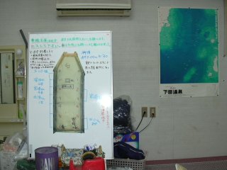 �z���C�g�{�[�h