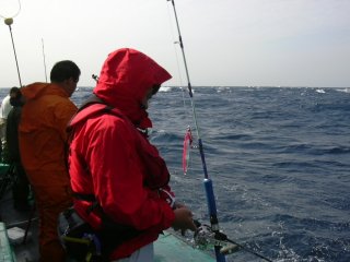 �V���N����