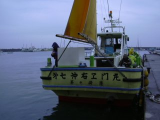 �掵���E�G���