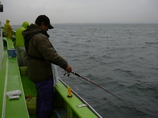 �A�^�����E�E�E�B