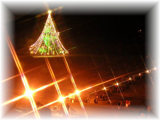 ����c���[��