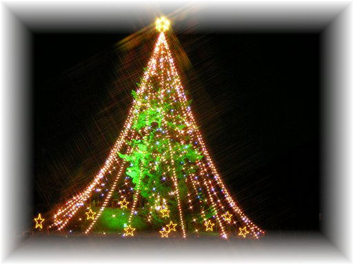 ����c���[