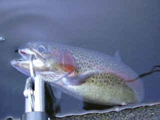 �c���L���b�`