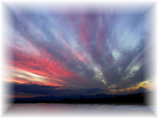 �T�U���r�[�`