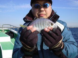 �J�C����