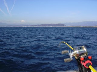 �����F�c���^�b�N���ƕx�m�R