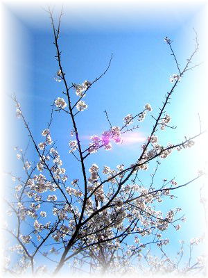 �s�u���Ƌ���