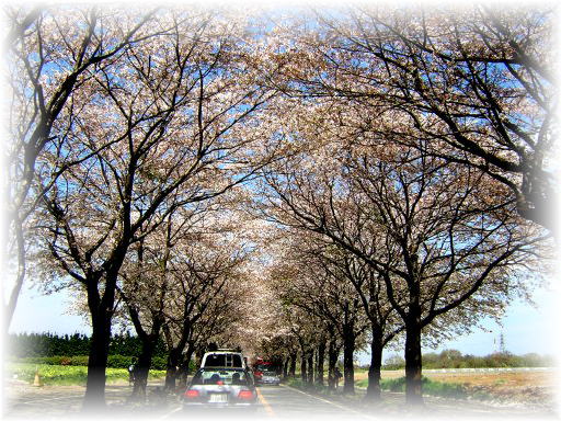 ���g���l��