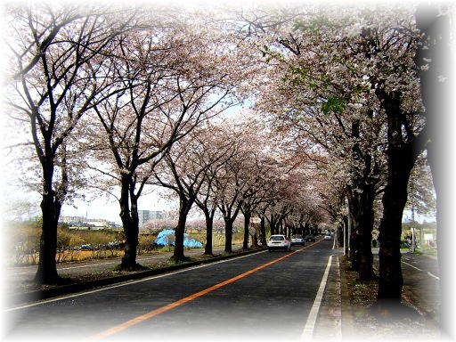 ���g���l��