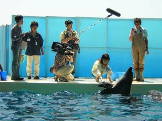 ��������ł��B