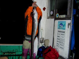 ����N���A�i�S