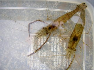 �e�i�K�G�r