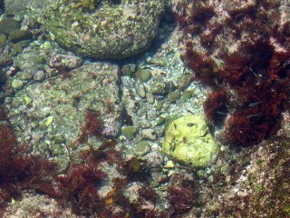 �^�C�h�v�[��