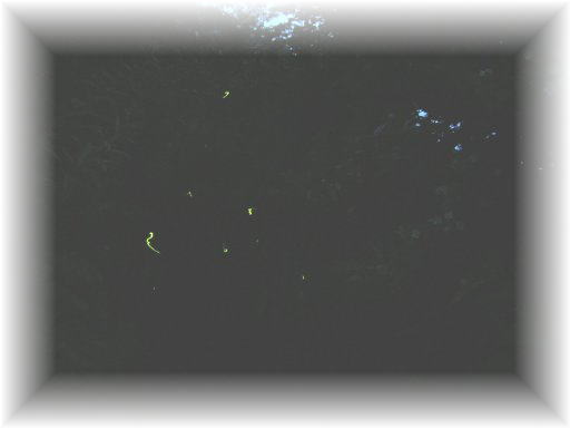 �Q���W�{�^��