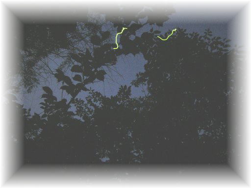 �Q���W�{�^��