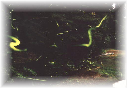 �Q���W�{�^��