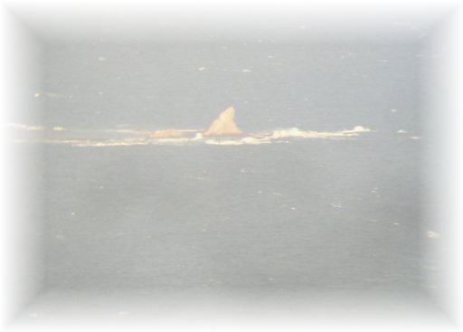 �Ó약����