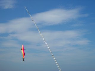 �A�\�[�g�r�W�U���S�[���h�T�N���_�C