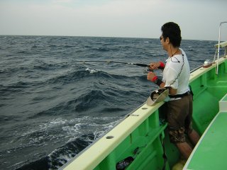 �t�@�C�g��