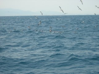 �g�����}