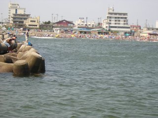 �T�U���r�[�`