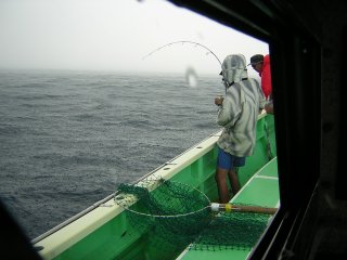 �J���t�@�C�g