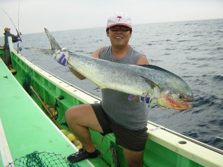 ���V�C��