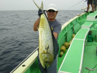 ���V�C��