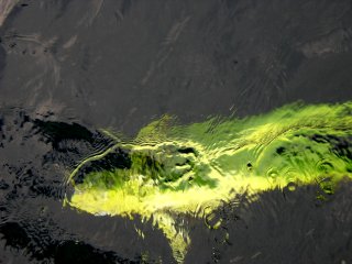 ���̂����