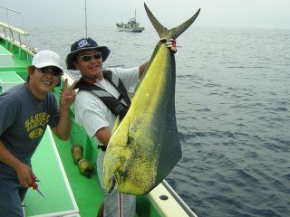 ���V�C��