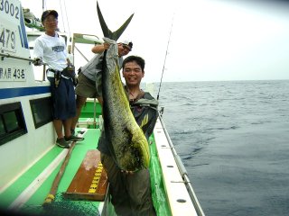 ���V�C��