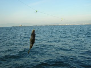 �L�^�}�N��