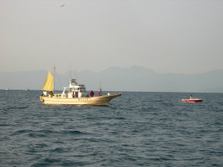 �܂����̊�