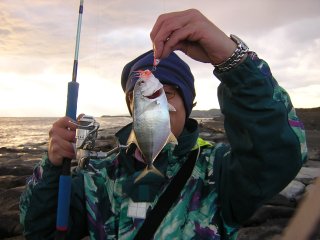 �M���K���b�L