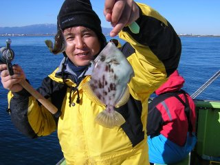 �t�����[��