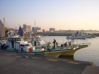 ���E�G���