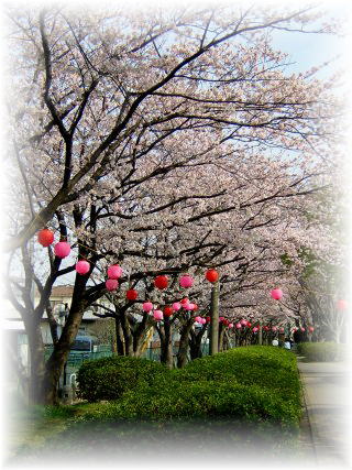 �\���C���V�m