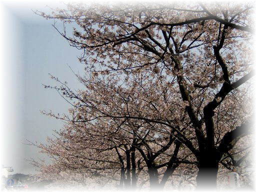 �\���C���V�m