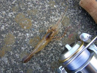 �e�i�K�G�r