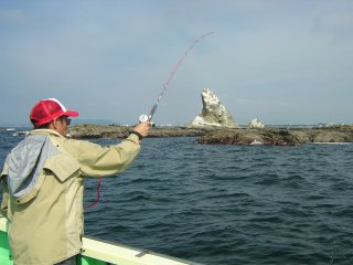 �V���N��