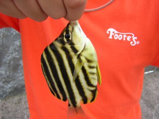 �J�S�K�L�_�C